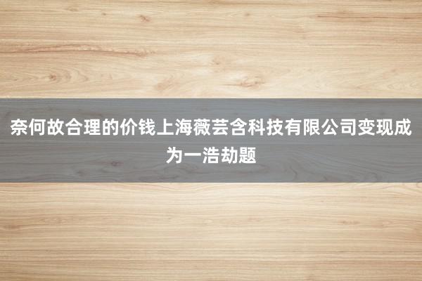 奈何故合理的价钱上海薇芸含科技有限公司变现成为一浩劫题